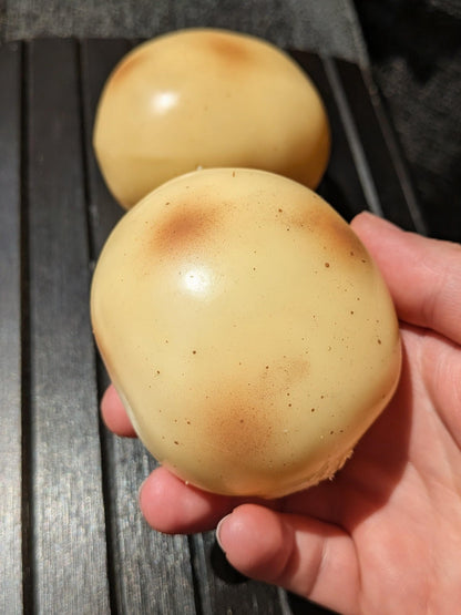 Potato Coconut Oil Stress Ball | Handmade ASMR Squishy Toy | Stress Relieving Food Fidget