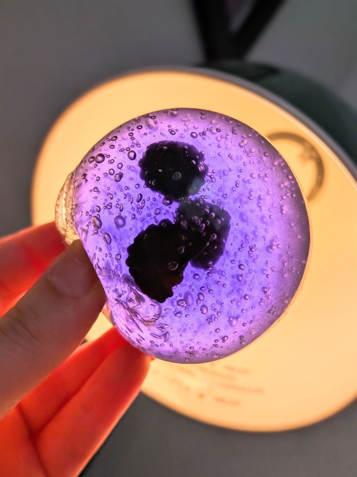 Fruit Soda Gummy Squishy Toy | Maltose Texture